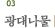 볪
